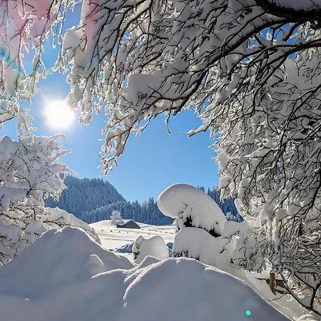 Appartamento Stuimaendle Obermaiselstein
