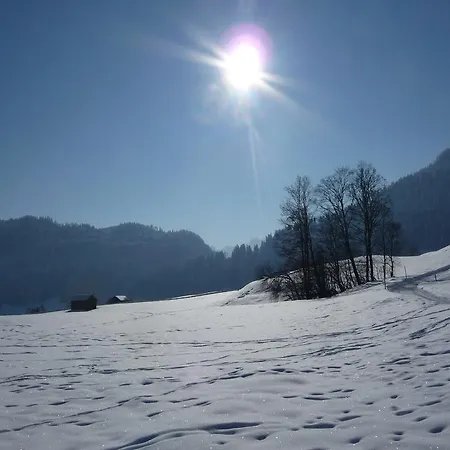 Stuimaendle Obermaiselstein